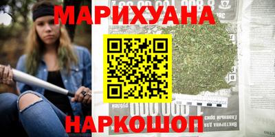 гашик Шелехов