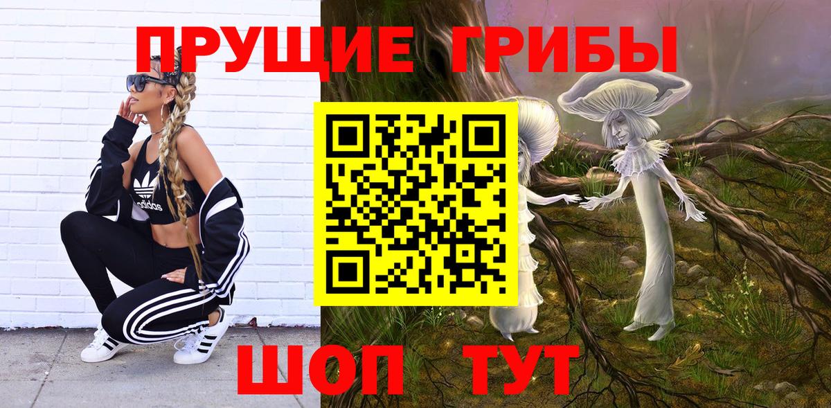 Псилоцибиновые грибы GOLDEN TEACHER Новошахтинск